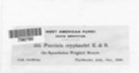 Puccinia cryptandri image
